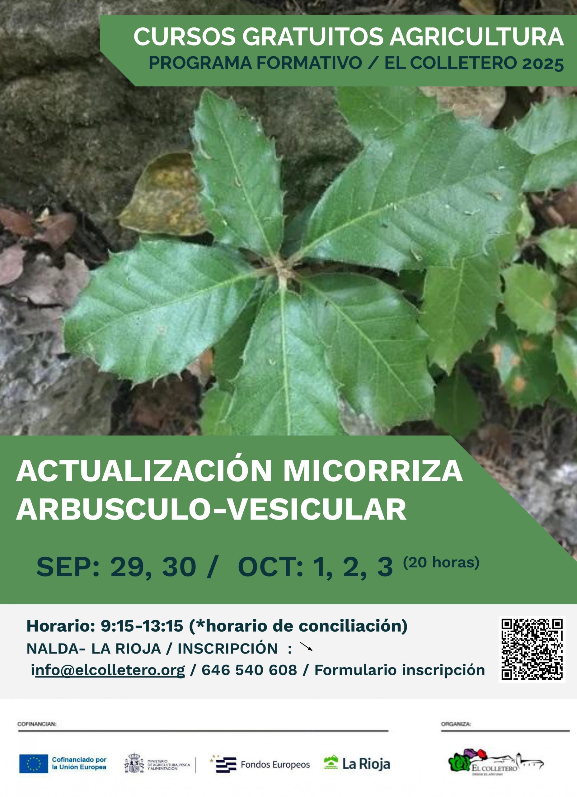 carteles cursos 2025.pptx_page-0008