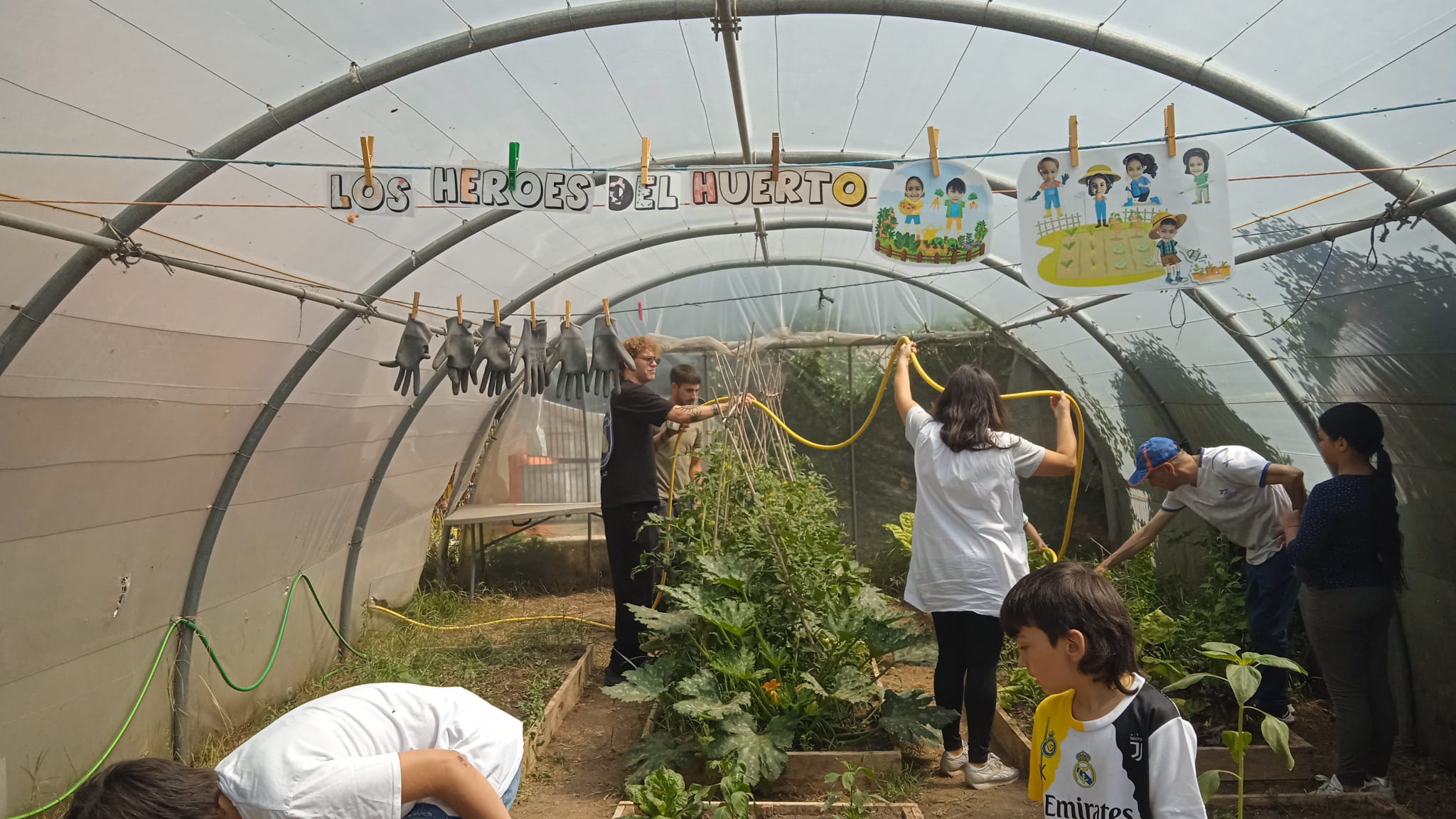 501053975_1135612951706057_1831649897231650163_n