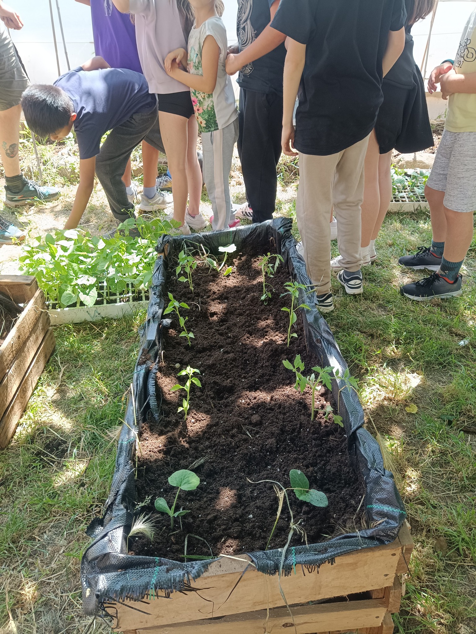 501277049_1135612881706064_8830303866852404328_n