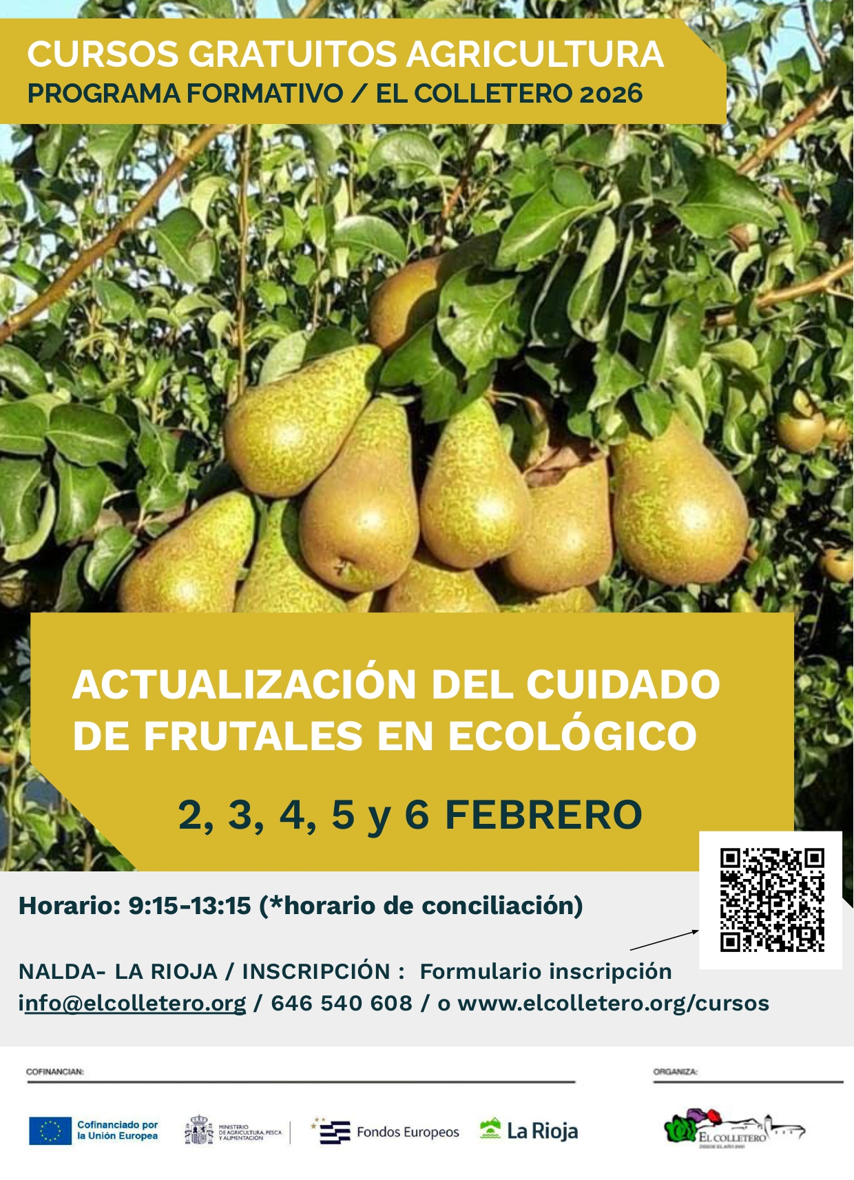 carteles cursos 2025.pptx (1)_page-0003