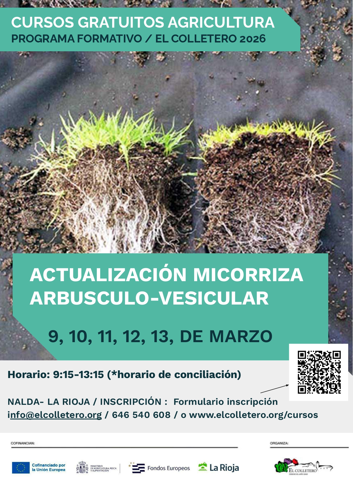 carteles cursos 2025.pptx (1)_page-0006