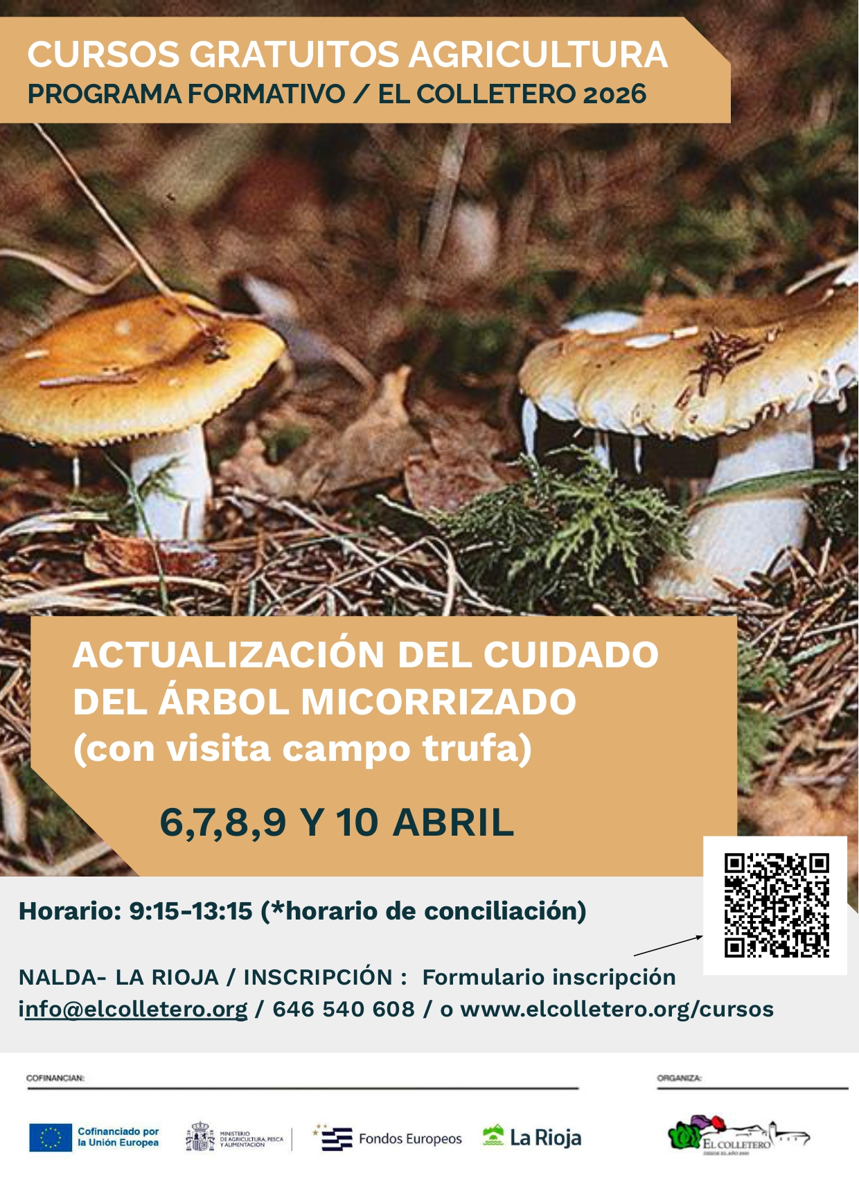 carteles cursos 2025.pptx (1)_page-0009