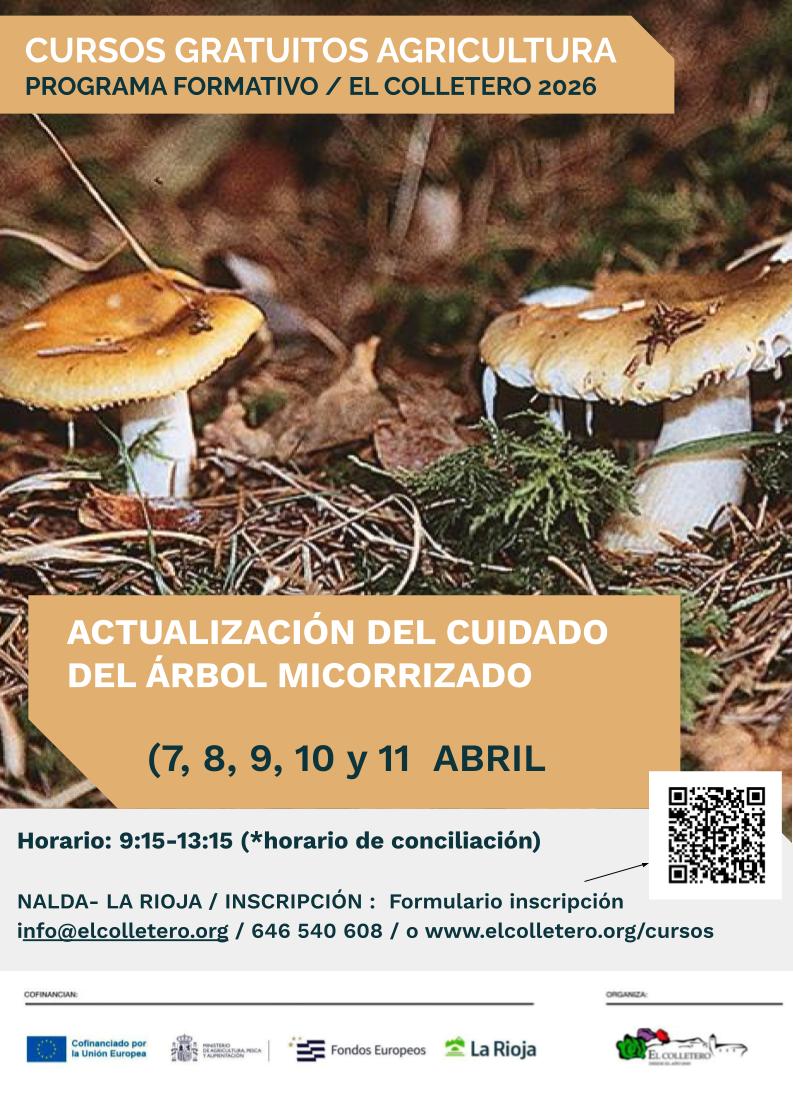 carteles cursos 2025.pptx