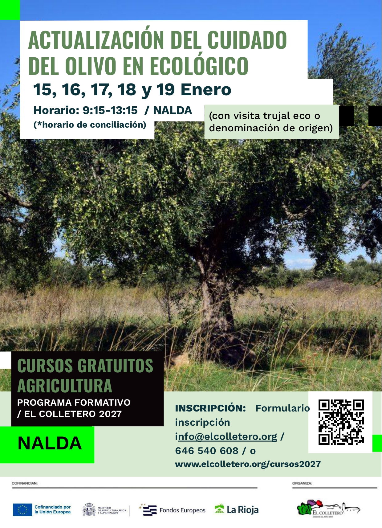 carteles cursos 2027.pptx (2)_page-0002